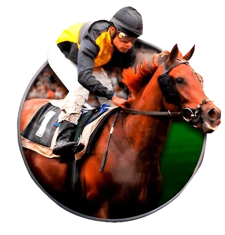 Animal Race